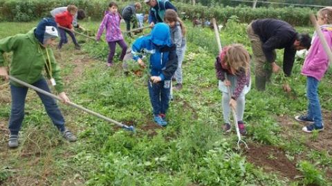 Organic Farm Visit